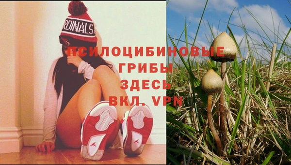 кокс Арсеньев