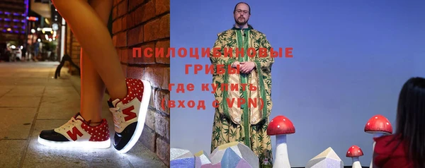 кокс Арсеньев