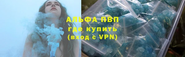 кокс Арсеньев
