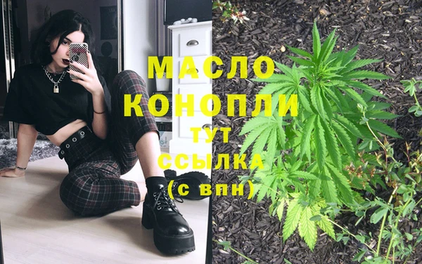 стафф Аркадак