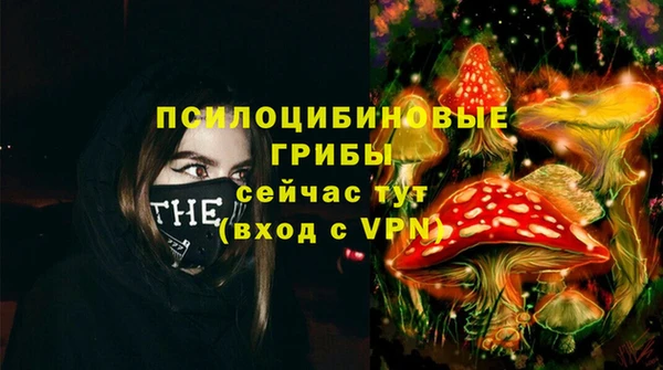 прущие грибы Балабаново