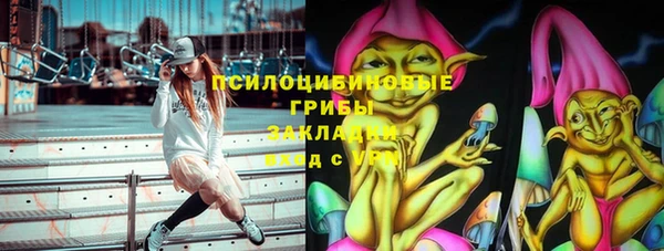 стафф Аркадак