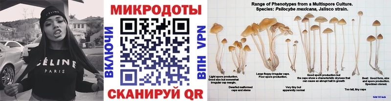Псилоцибиновые грибы мицелий  Спас-Деменск 